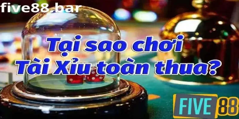 Lý do chơi tài xỉu online toàn thua